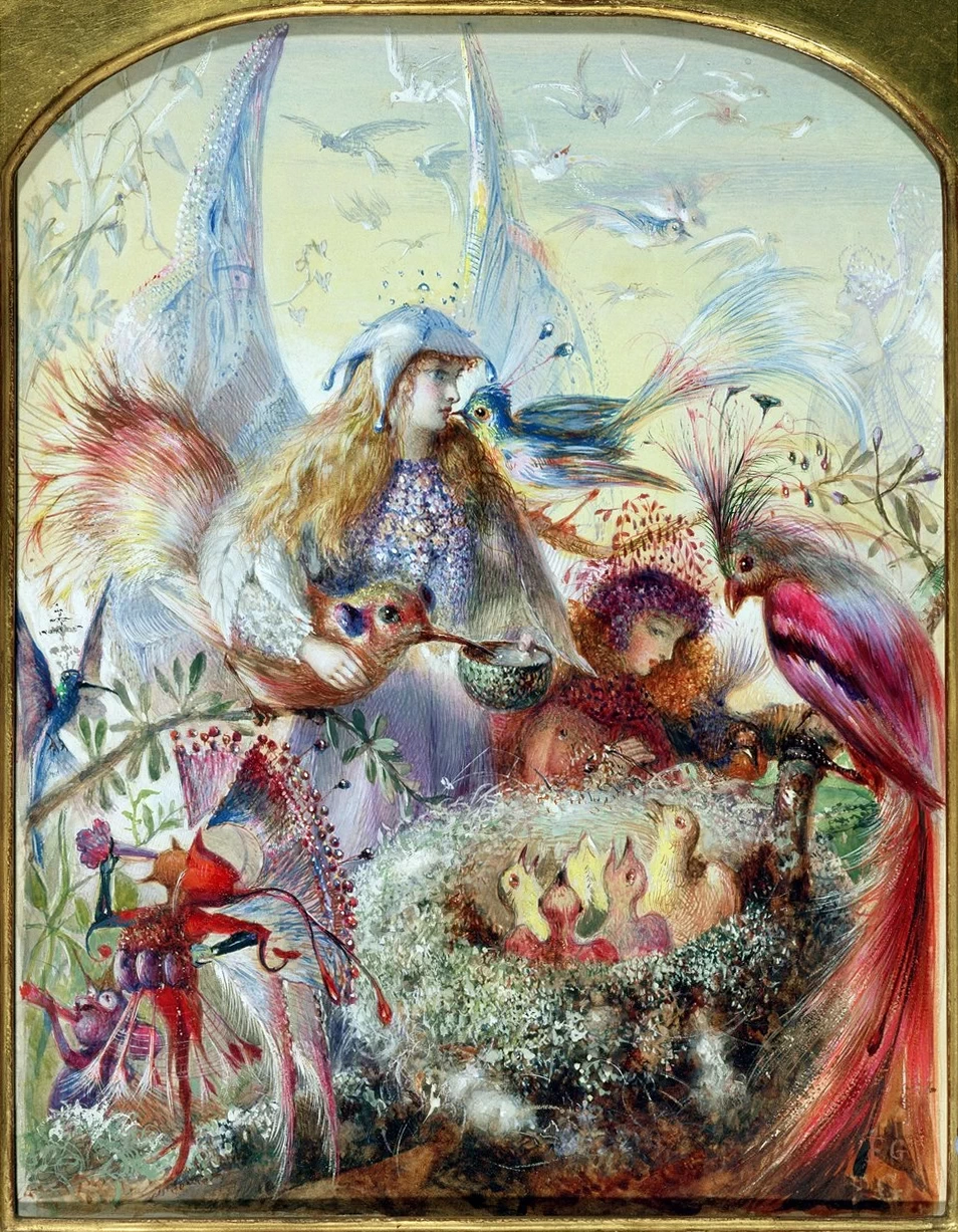 Fate e un nido d'uccello